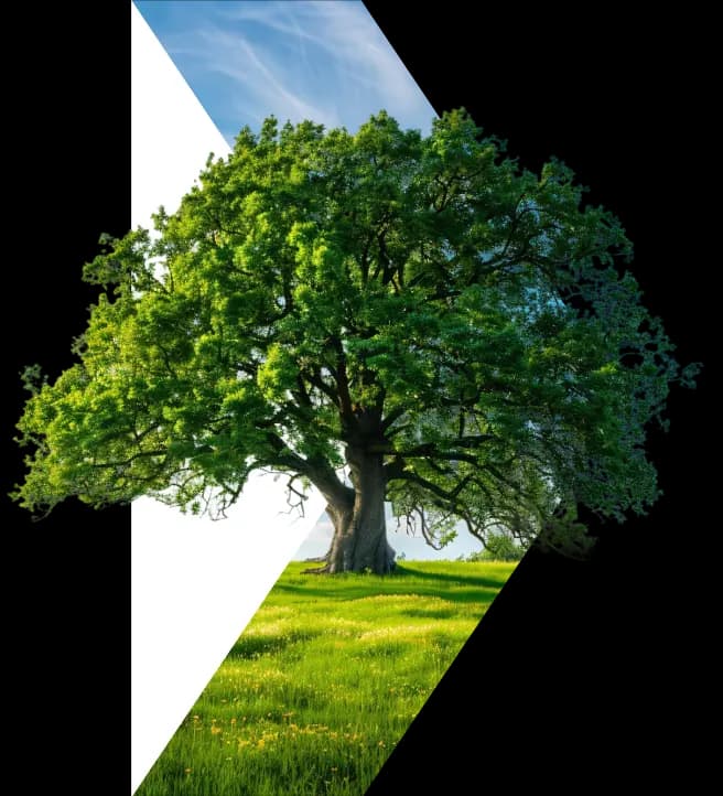 Sustainability